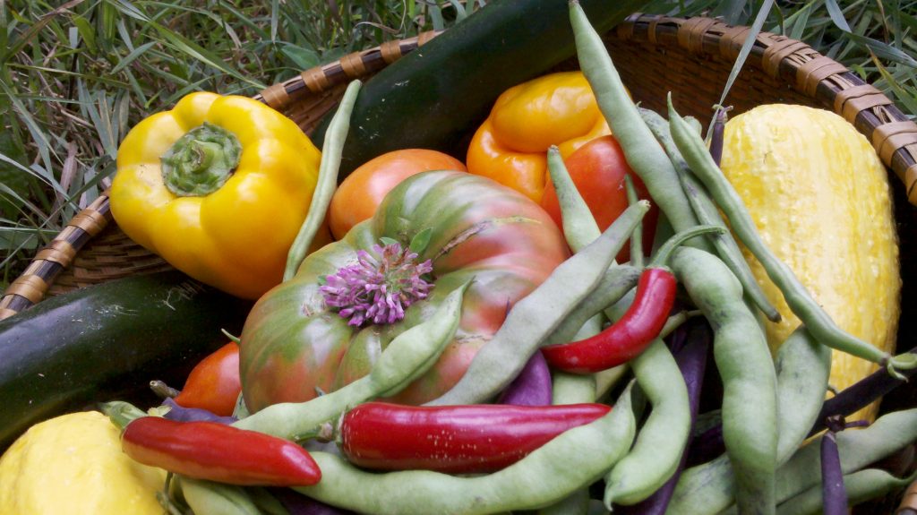 Food from the Garden